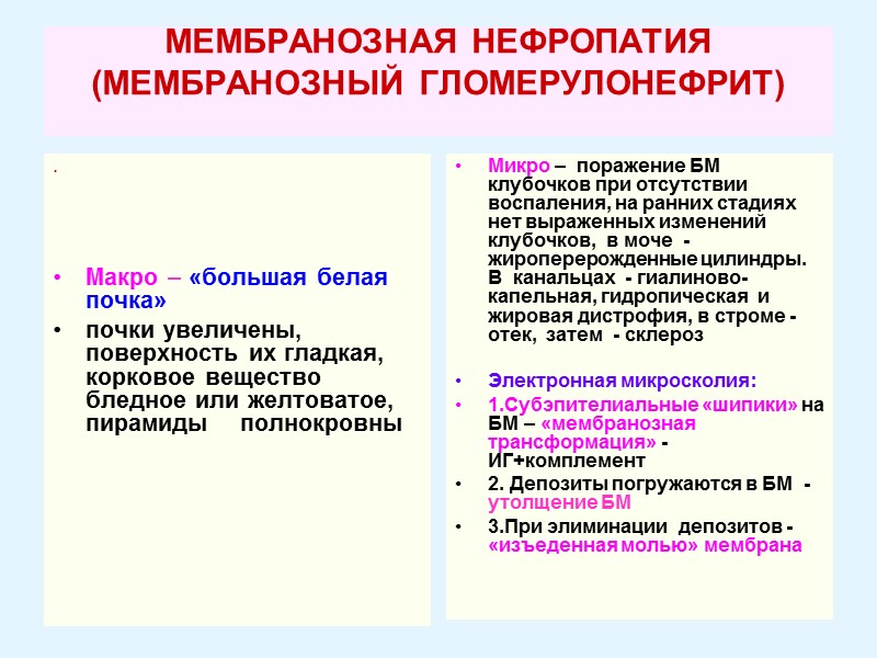 МЕМБРАНОЗНАЯ НЕФРОПАТИЯ  (МЕМБРАНОЗНЫЙ ГЛОМЕРУЛОНЕФРИТ)  .       Макро